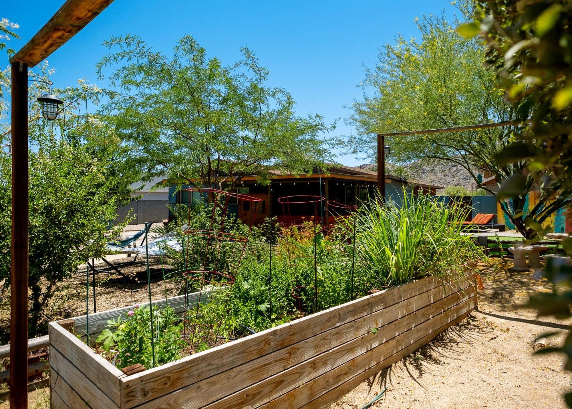 The Hummingbird House, Sauna & Mountain Views! Phoenix Bagian luar foto
